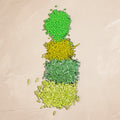 Tropical Fruit Green & Yellow Bead for Necklace Set