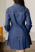 Denim Shirt Collar Long Sleeve Flared Mini Dress