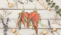Boho Multicolor Feather Earrings