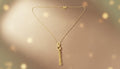 Tassel Looped Necklace