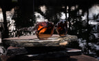 Steve Madden Sunglasses