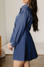 Denim Shirt Collar Long Sleeve Flared Mini Dress